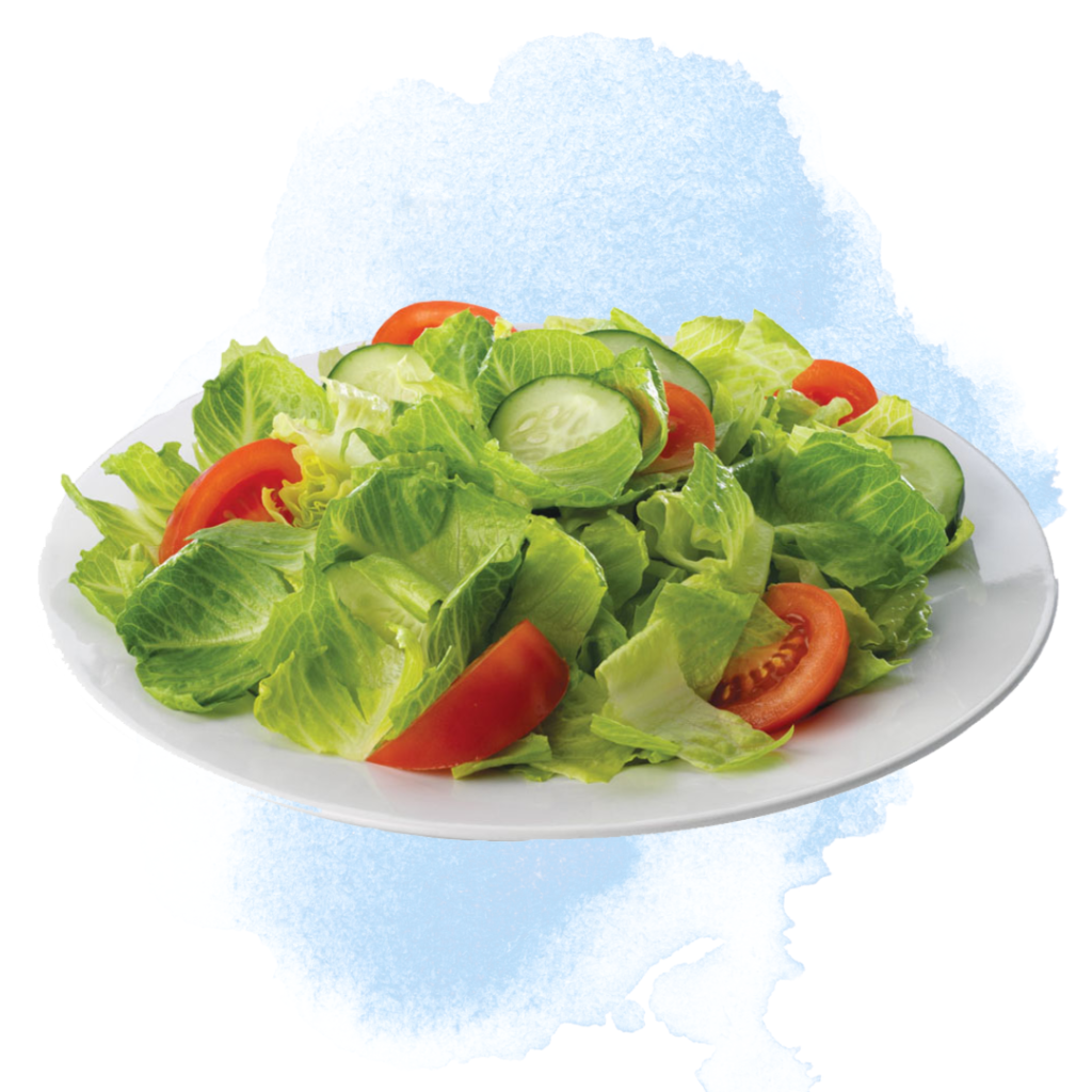 best salad in Eagleville, PA