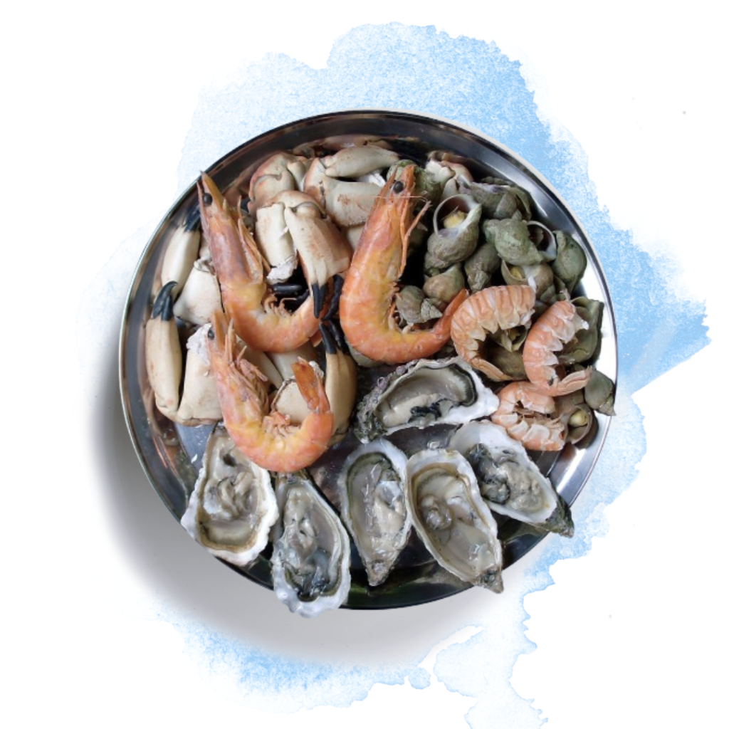 best Sea food in in Collegeville PA